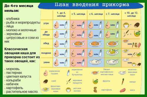 Кроме того, примерно кполугоду созревают ферменты и стенка кишечника, становясь непроницаемой для аллергенов и токсинов, что дает возможность правильно усваивать отличную отмолока пищу