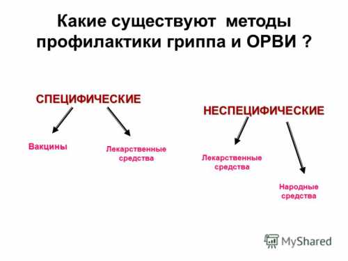 Натуральные средства для защиты организма от гриппа и ОРВИ