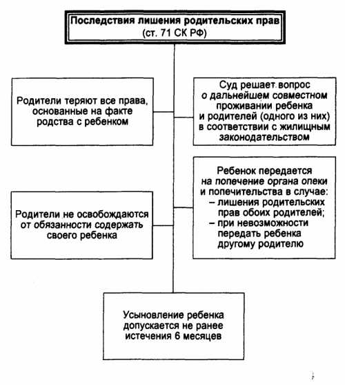 Лишение отца родительских прав: законы, порядок