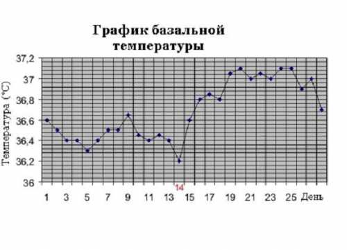 Этот метод позволяет защититься от всех инфекций, в том числе сифилиса и