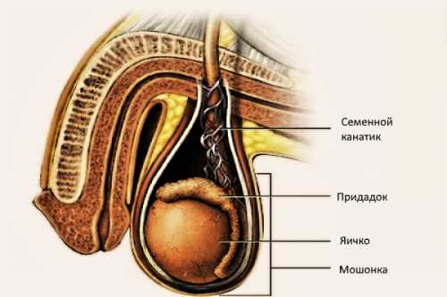 Важно также соблюдать постельный режим и специальную диету