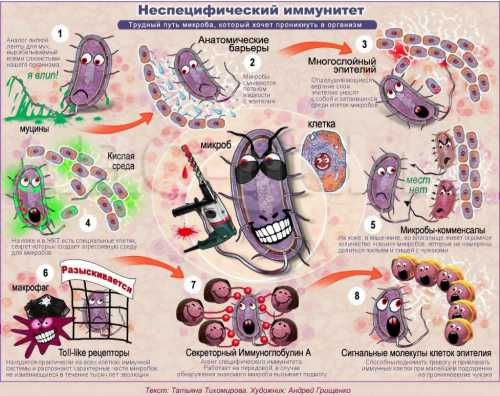 Витамином